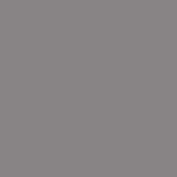 Aluminio gris RAL 9007 (mate)