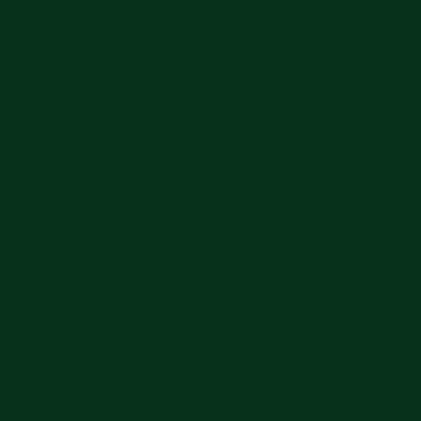 Verde musgo RAL 6005