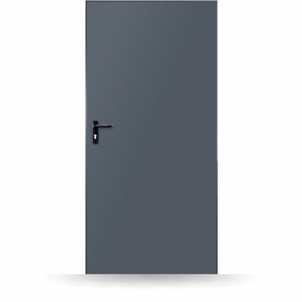 Puerta auxiliar acero