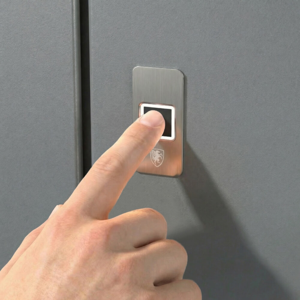 Puerta de entrada de aluminio BASIC huella dactilar