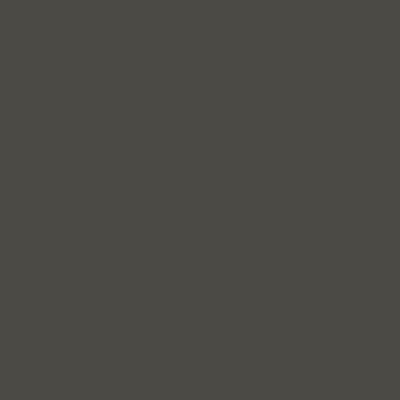 Gris sombra RAL 7022